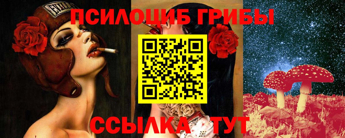 Галлюциногенные грибы Psilocybe Красный Сулин