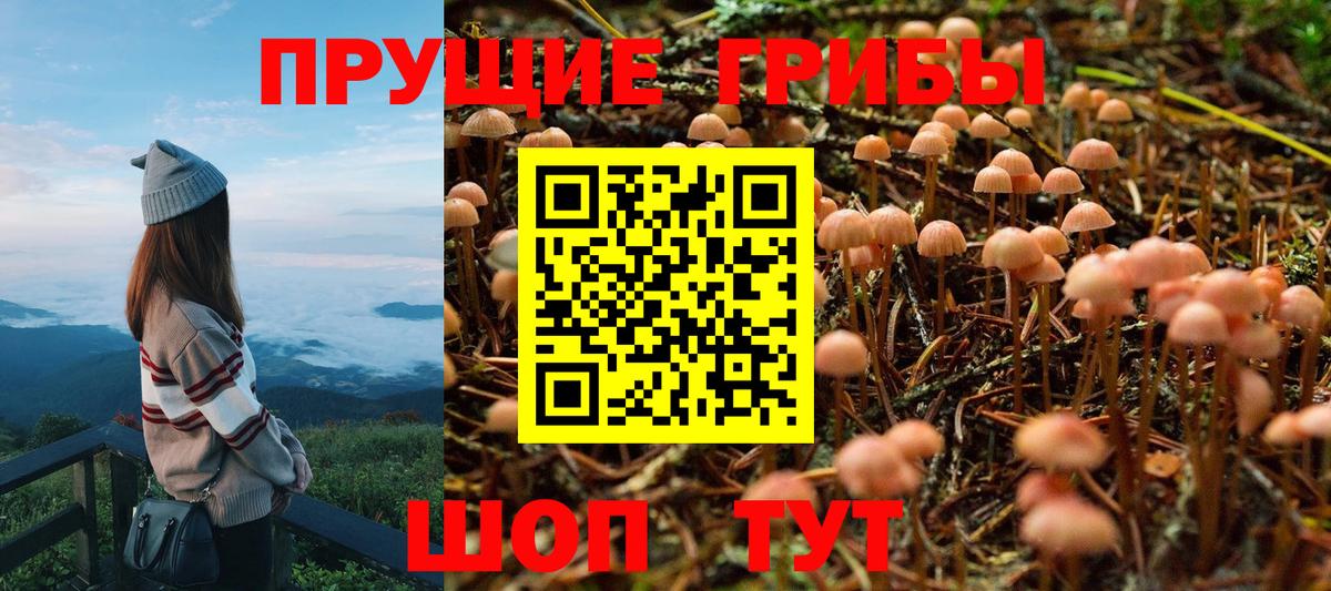Красный Сулин  Галлюциногенные грибы ЛСД  Галлюциногенные грибы ЛСД  Вход с VPN 