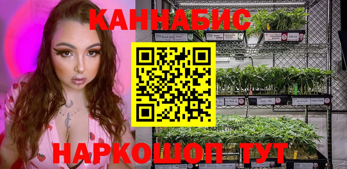 Шишки марихуана SATIVA & INDICA Красный Сулин